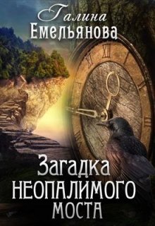 Книга. "Загадка неопалимого моста" читать онлайн