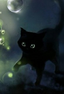 Книга. "Черный котенок" читать онлайн