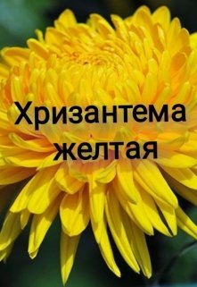 Книга. "Хризантема    Желтая" читать онлайн