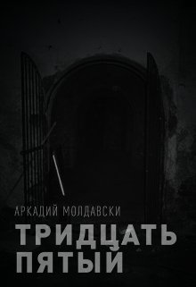 Книга. "Тридцать пятый" читать онлайн