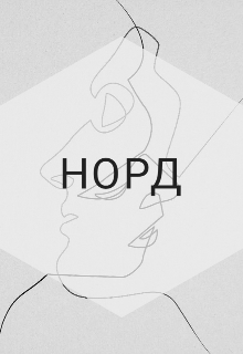 Книга. "Норд" читать онлайн