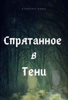 Книга. "Спрятанное в тени" читать онлайн