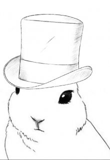 Книга. "Зазеркалье - подстава от Белого Кролика" читать онлайн