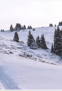 Книга. "Лыжная прогулка" читать онлайн