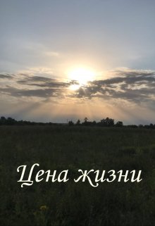 Книга. "Цена жизни" читать онлайн