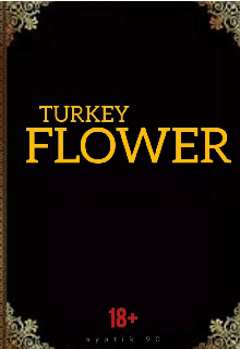 Книга. "Турецкий цветок" читать онлайн