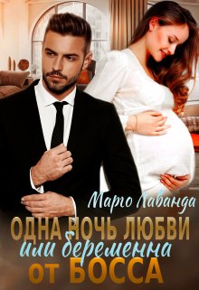 Книга. "Одна ночь любви Или беременна от босса" читать онлайн