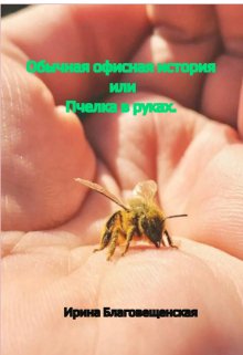 Книга. "Обычная офисная история или Пчелка в руках." читать онлайн