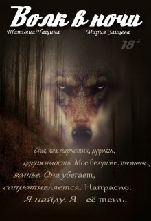 Книга. "Волк в ночи" читать онлайн