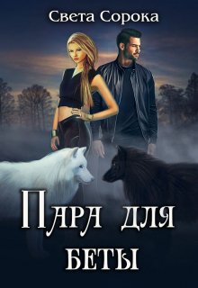 Книга. "Пара для беты" читать онлайн