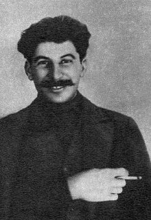 Книга. "Мы с товарищем Сталиным" читать онлайн