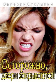 Книга. "Осторожно, двери закрываются!" читать онлайн