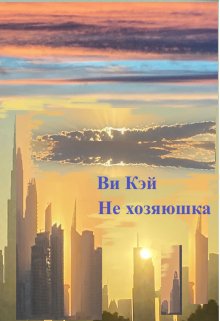 Книга. "Не хозяюшка" читать онлайн