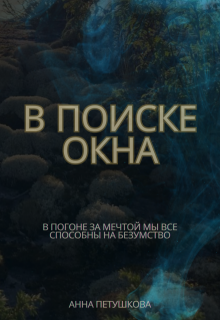 Обложка книги "В поиске окна"